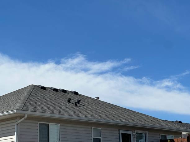 Best Roof Coating and Sealing  in Fairdale, PA